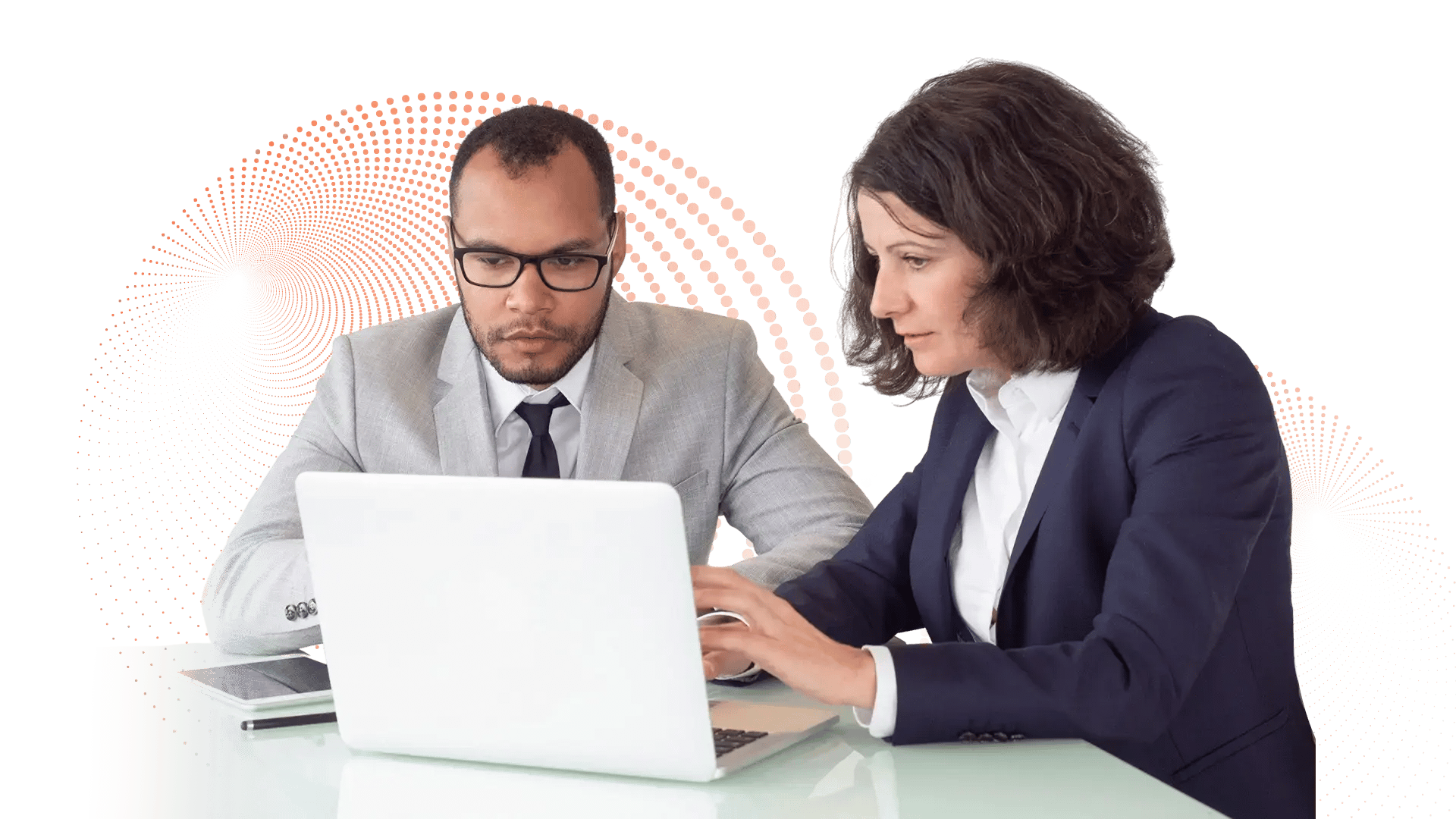 Government Professional