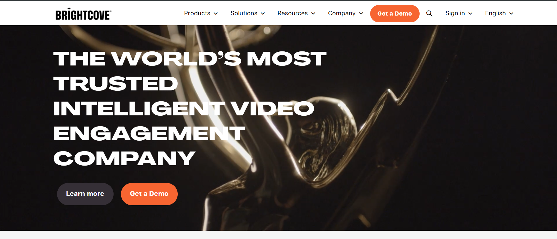 An image of Brightcove Website